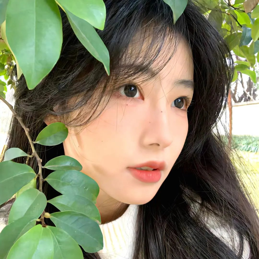 圣经故事
