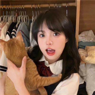 龙公主的冒险